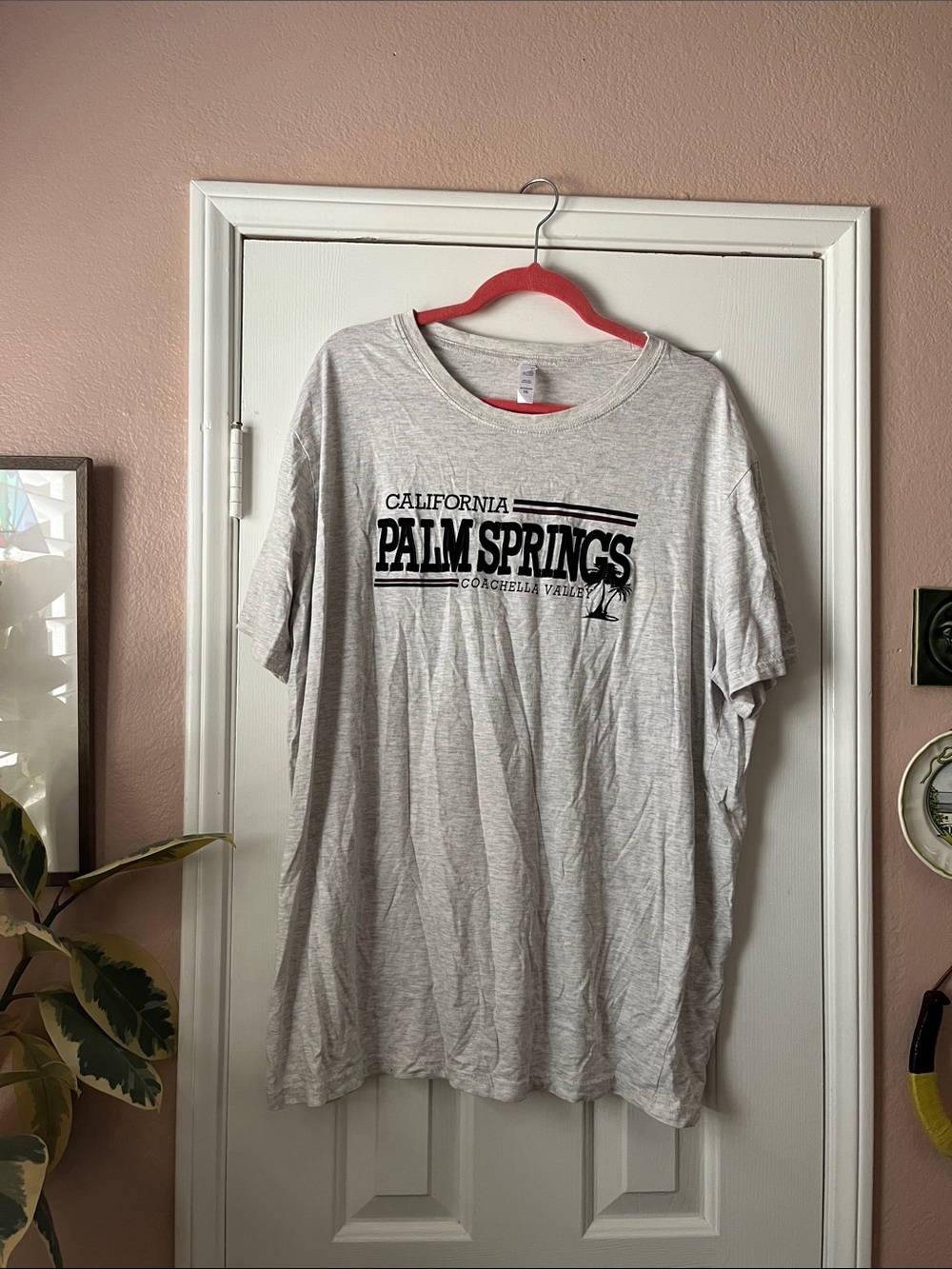 Palm Springs California Embroidered Graphic Tee - Light Gray